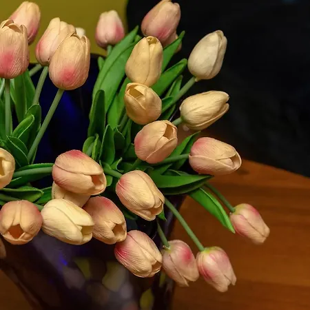 Spacerowa By Renters *