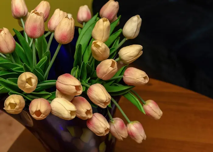 Spacerowa By Renters *