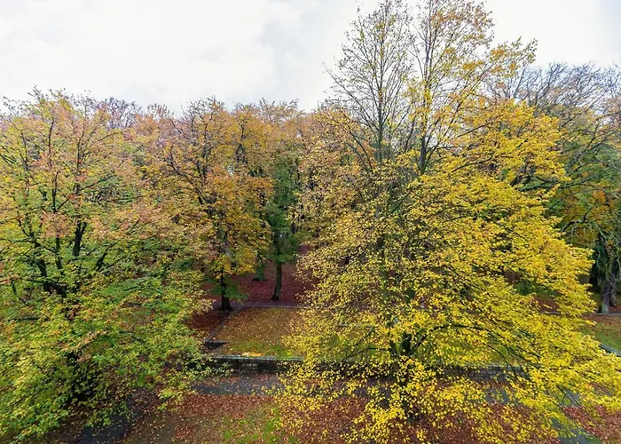 Apartment Spacerowa By Renters